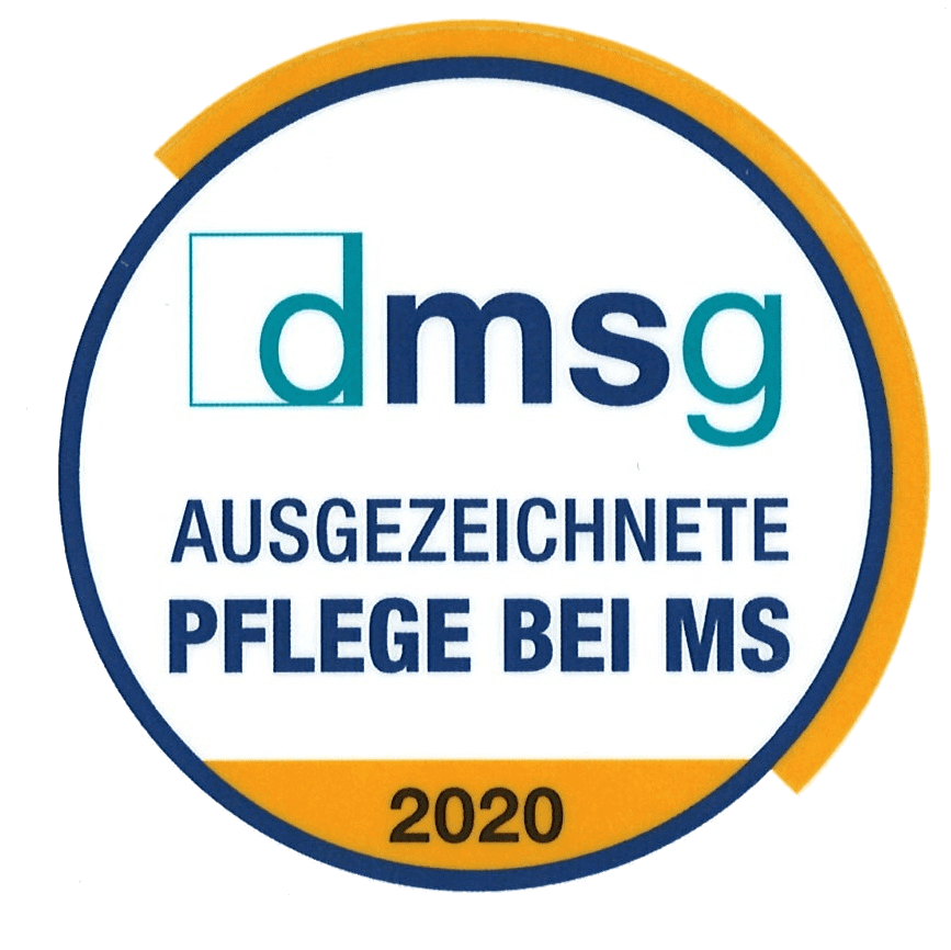 dmsg transparent dmsg transparent